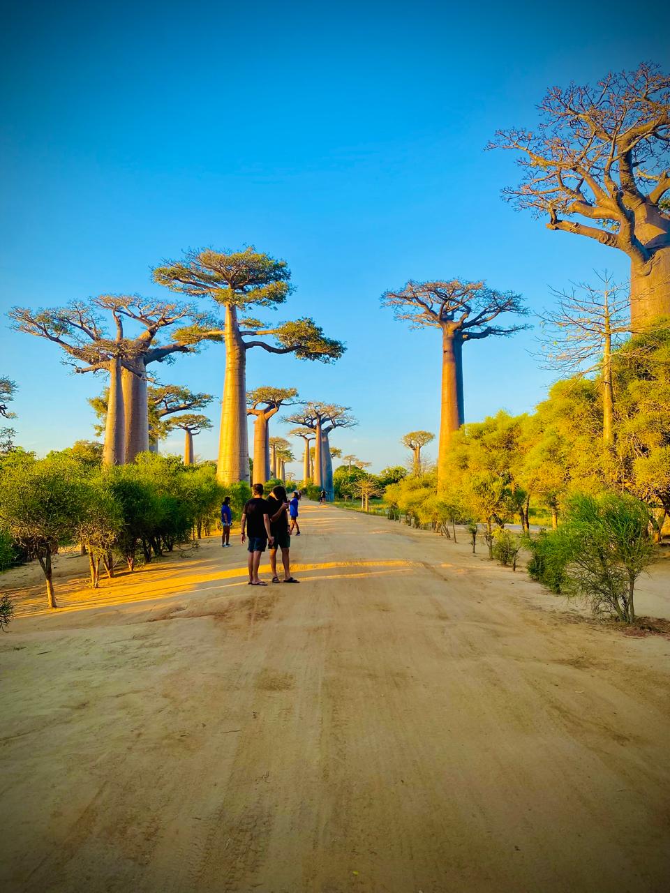 Circuit Baobab Morondava