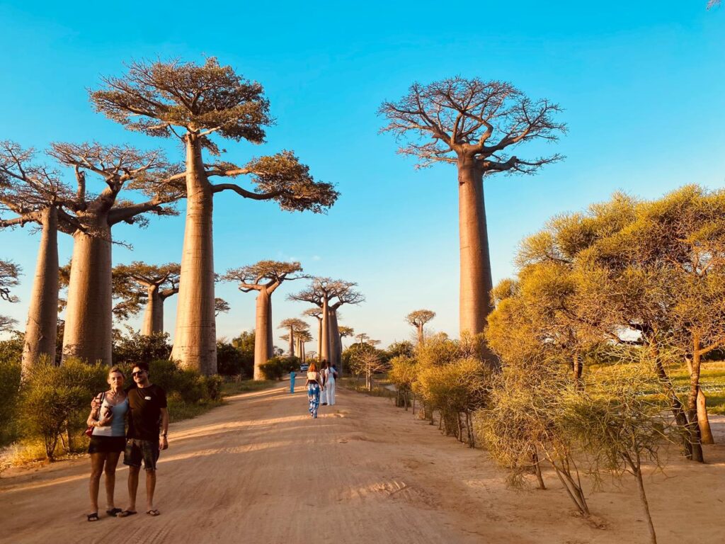 Circuit Baobab Morondava