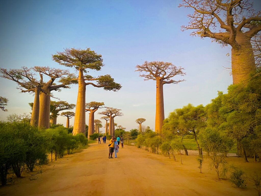 Circuit Baobab Morondava