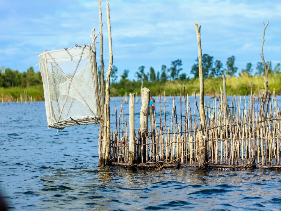 Excursion à Toamasina